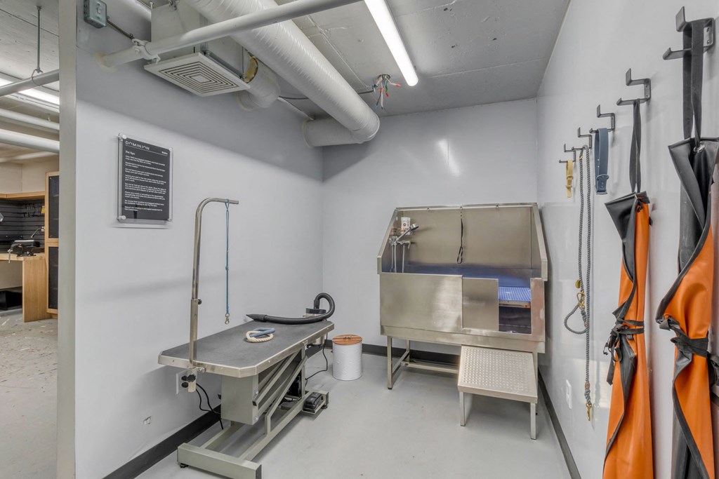 A medical room with a table and a sink.
