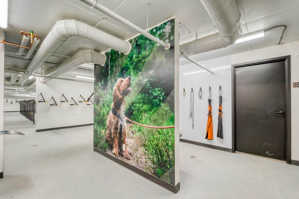 A poster of a bear in a forest is hanging on a wall in a room with white walls and a white ceiling.