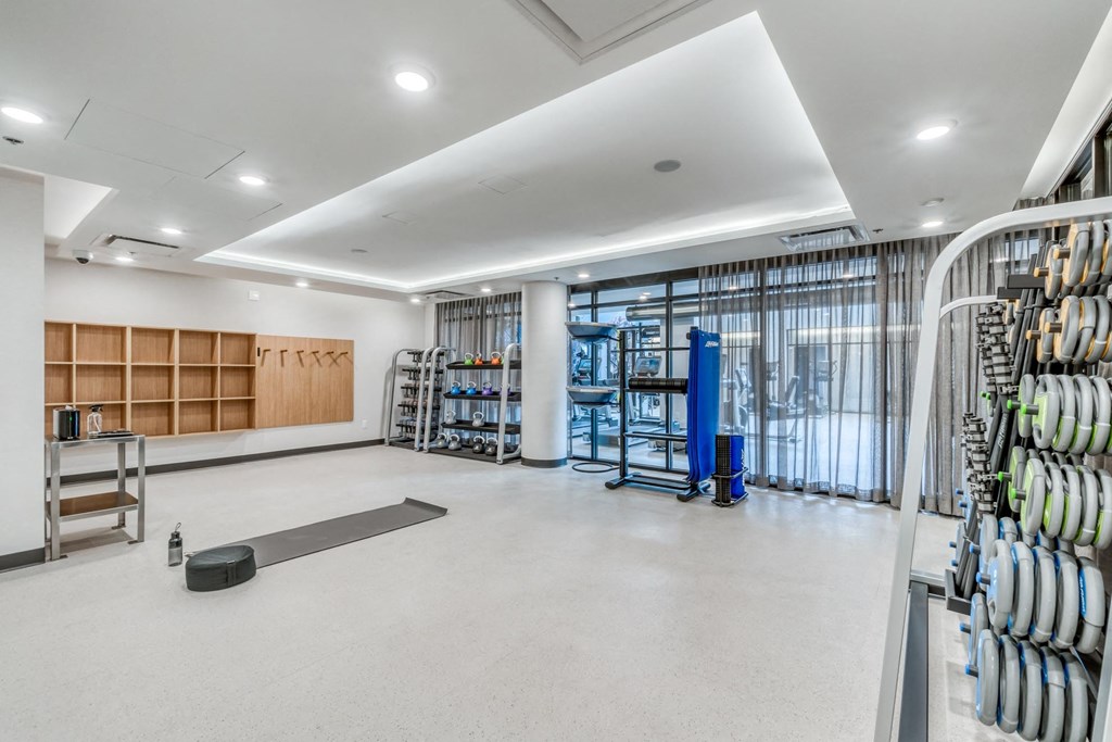 A gym with a variety of equipment including a bench, weights, and a barbell.