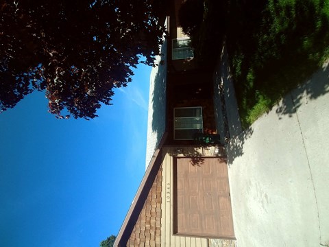 the view from the roof of the house