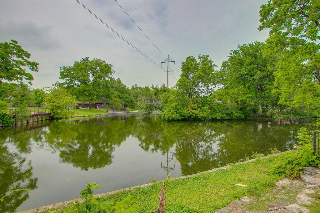 a pond with trees and a power line reflected in it