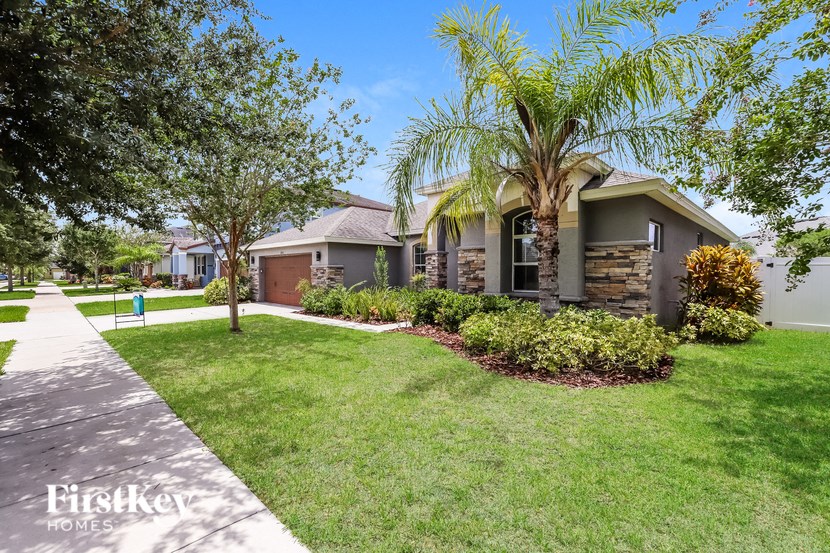 a home with a lawn and palm tree in front of it