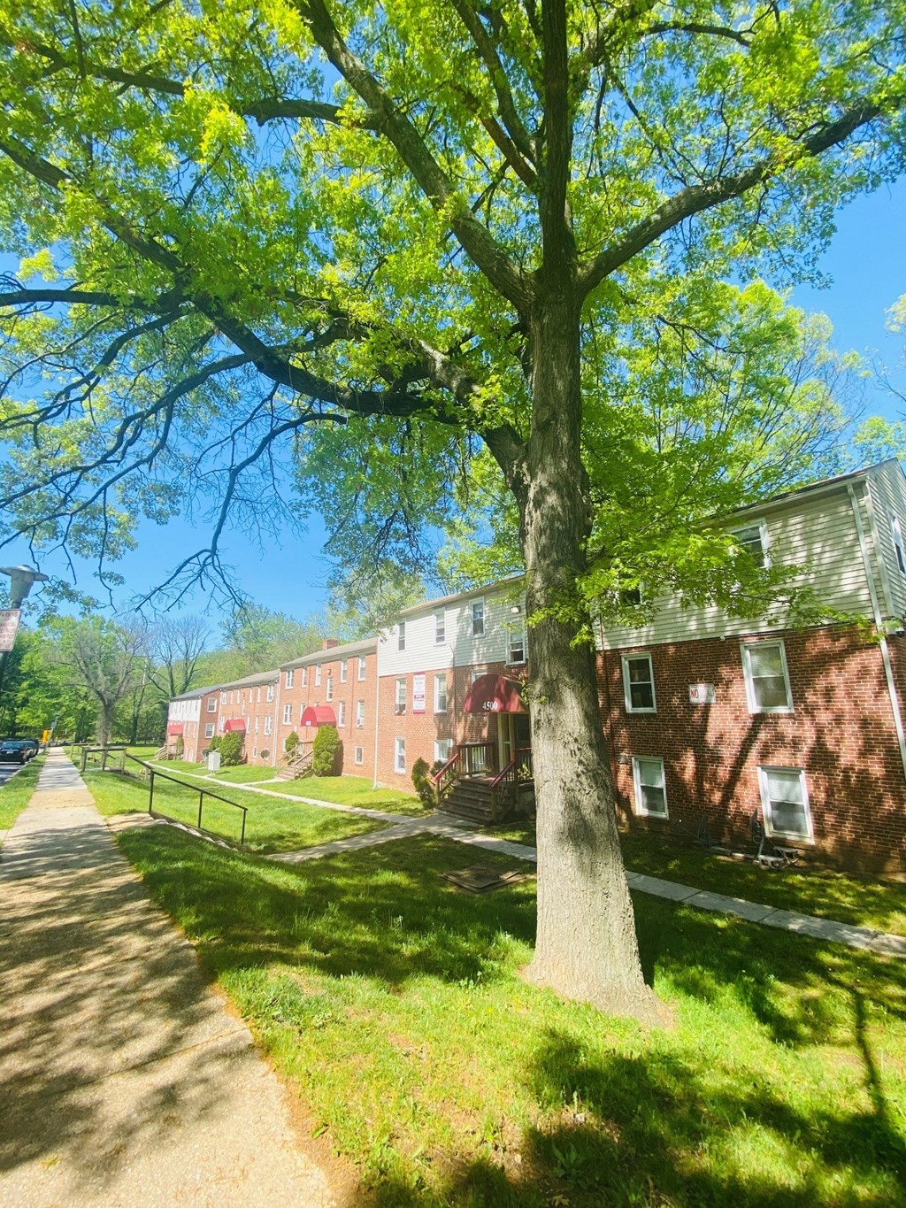 a tree in front of a red brick building