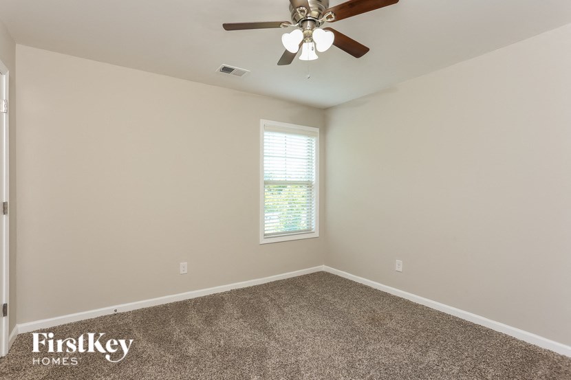 the living room has a ceiling fan and a carpet