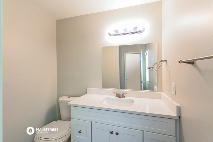 a bathroom with a sink and a mirror and a toilet