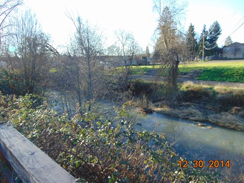 A river flows through a grassy area with trees and bushes.