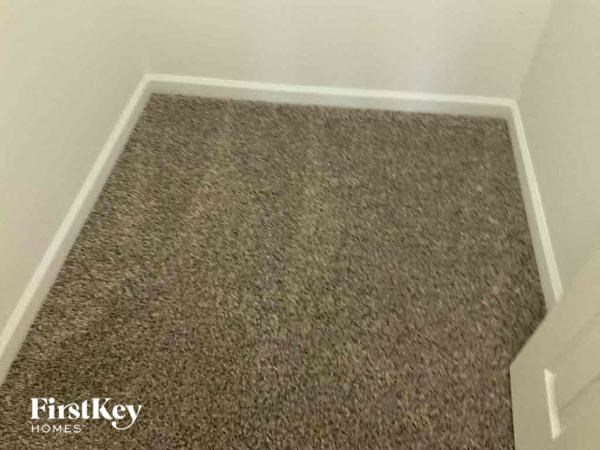 a carpeted floor in a room with a white wall
