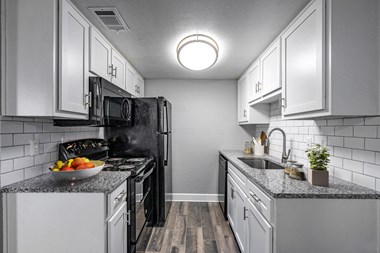 2825 Royal Ln 1-3 Beds Apartment for Rent