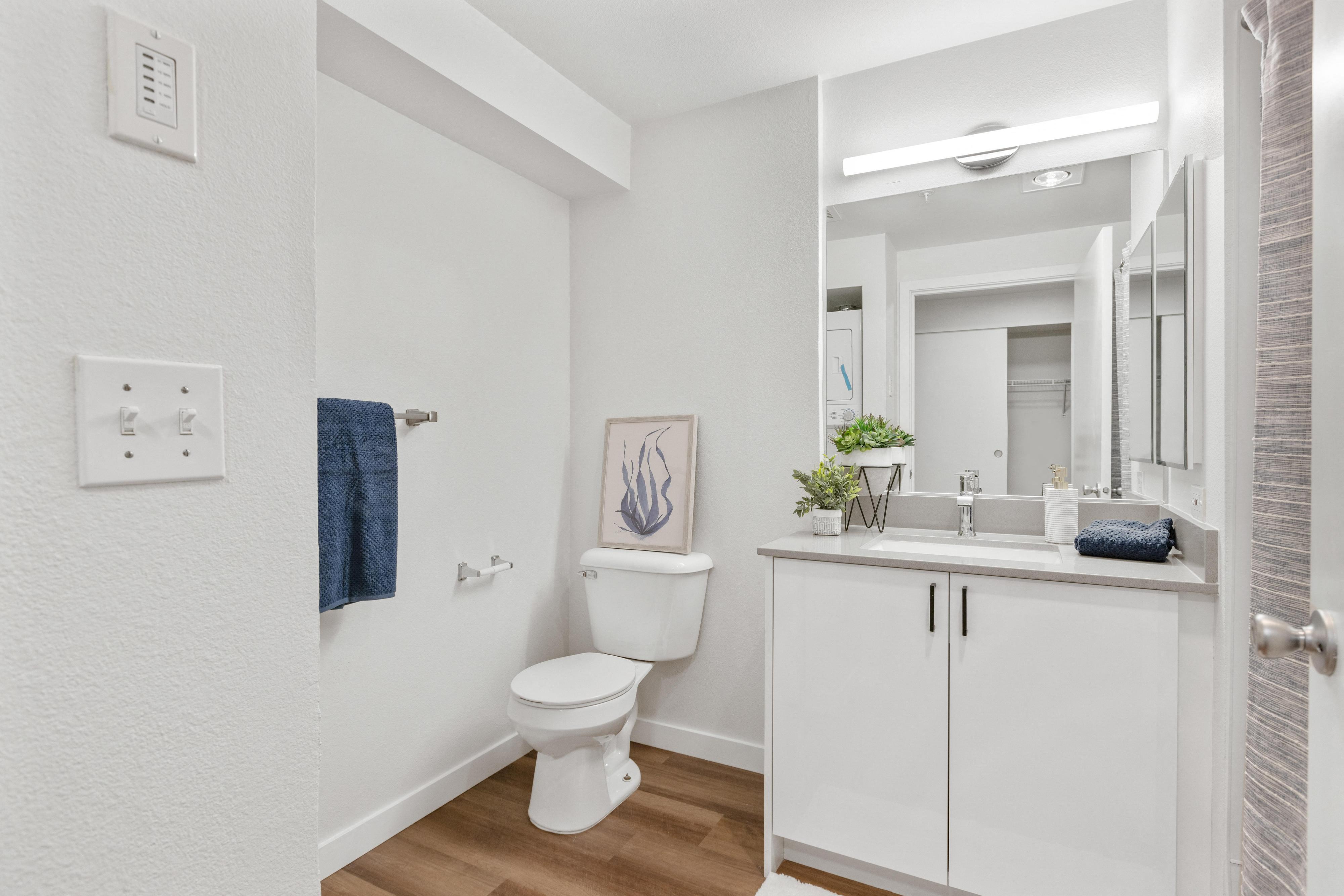 a bathroom with a toilet and a sink and a mirror
