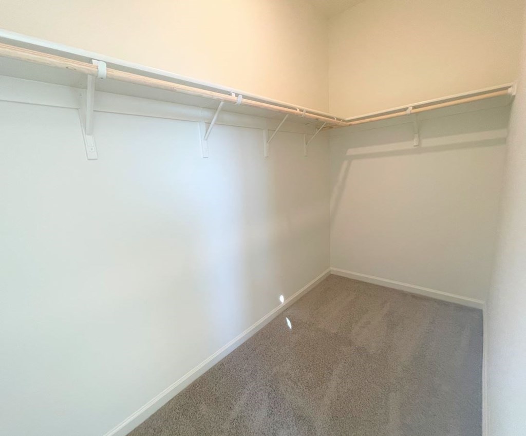 a empty room with white walls and a carpet