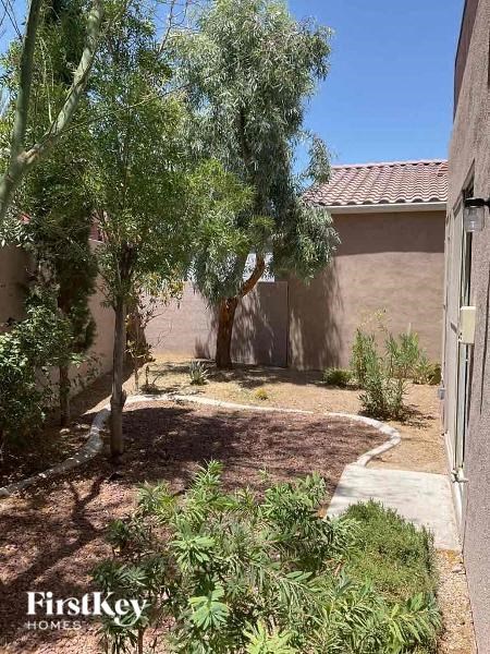 a courtyard with a tree and a house