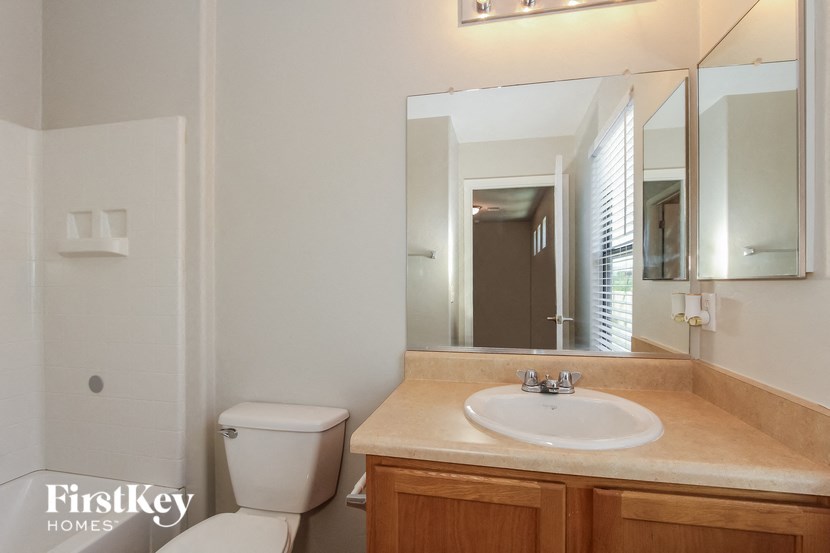 a bathroom with a sink and a mirror and a toilet
