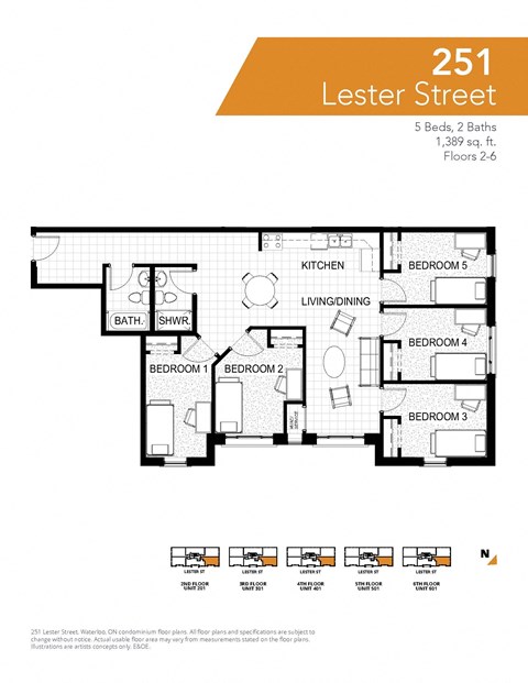 251 Lester Street, Suite 201 Studio Apartment for Rent - Photo Gallery 10