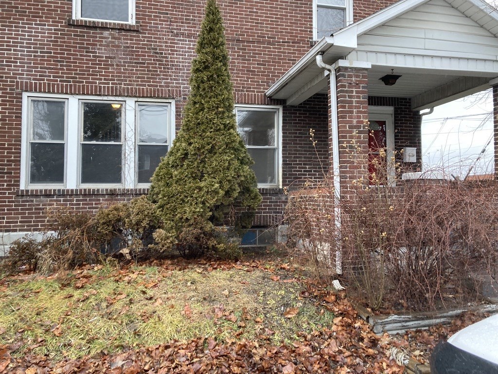 a front yard with a tree in front of a brick house