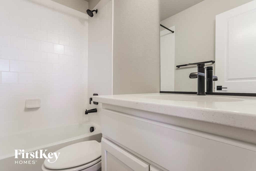 a bathroom with a sink and a toilet and a bath tub