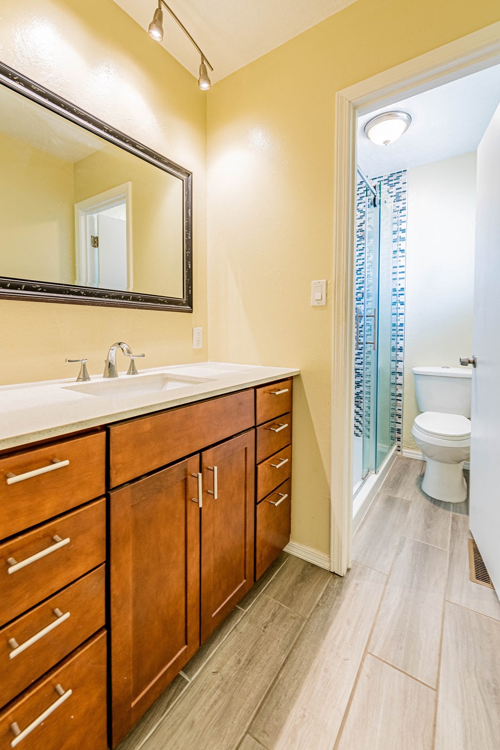 a bathroom with a sink and a mirror and a toilet