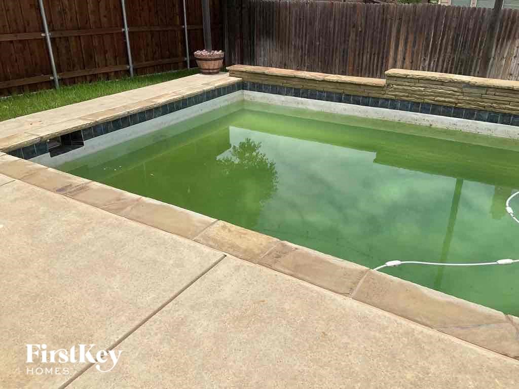 a pool filled with green water in a backyard