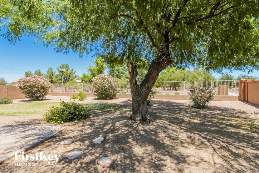 a tree in a park next to a fence