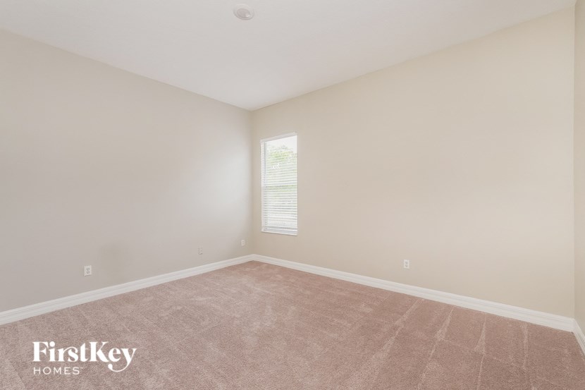 a bedroom with a carpeted floor and a window