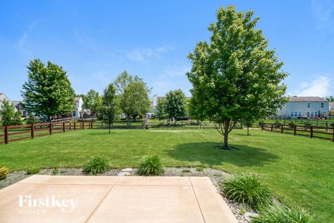 a backyard with a tree and a grass field