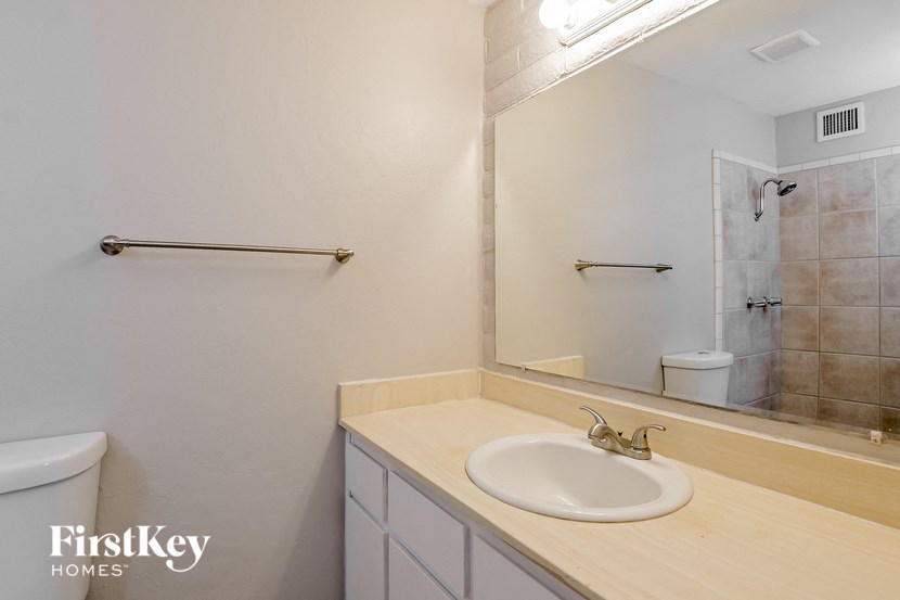 a bathroom with a sink and a mirror and a shower