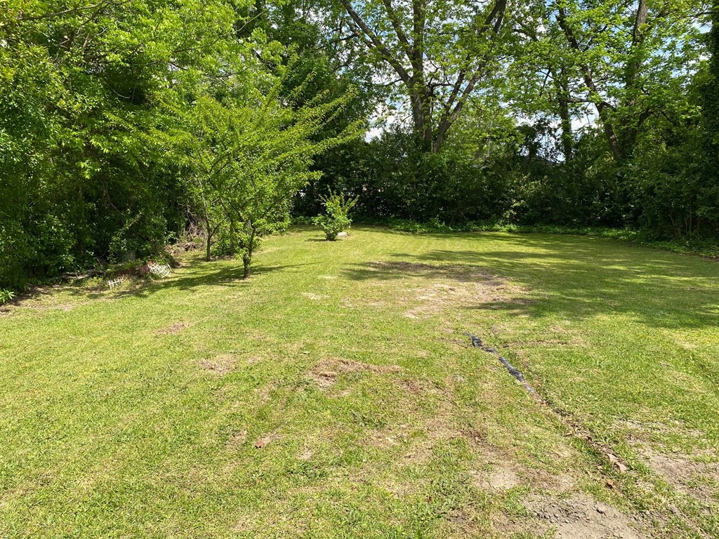 a grassy field with trees in the background