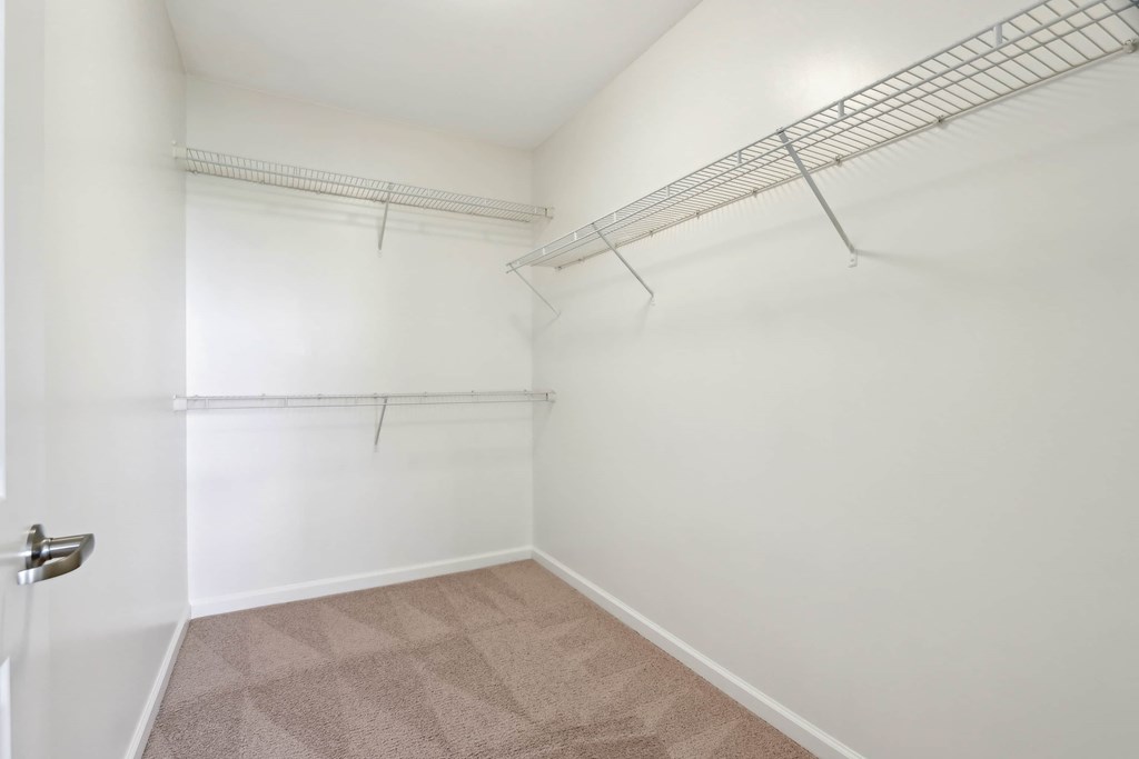 A white wall with a metal rack and a carpeted floor.