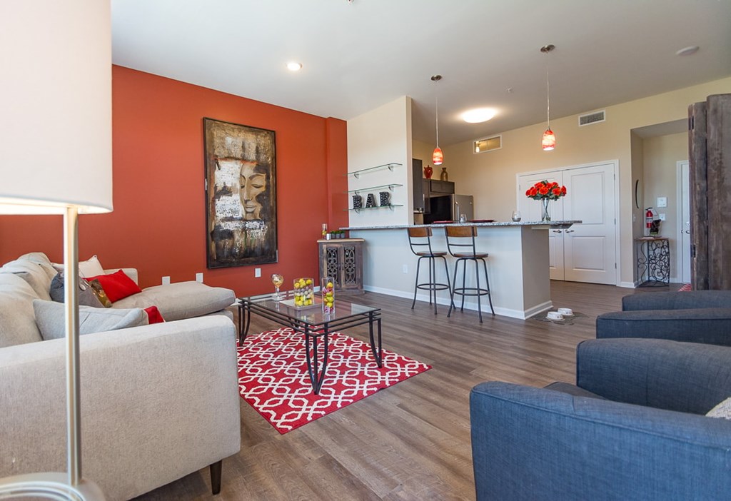 A living room with a grey couch and a red and white patterned rug.