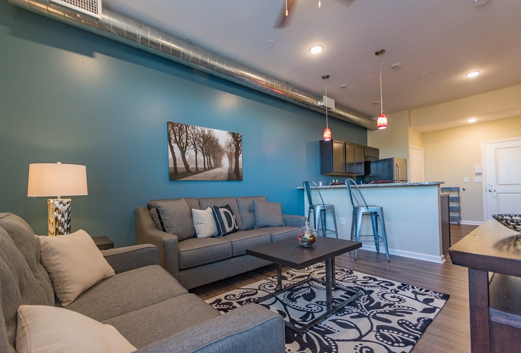 A living room with a grey couch and a black and white rug.