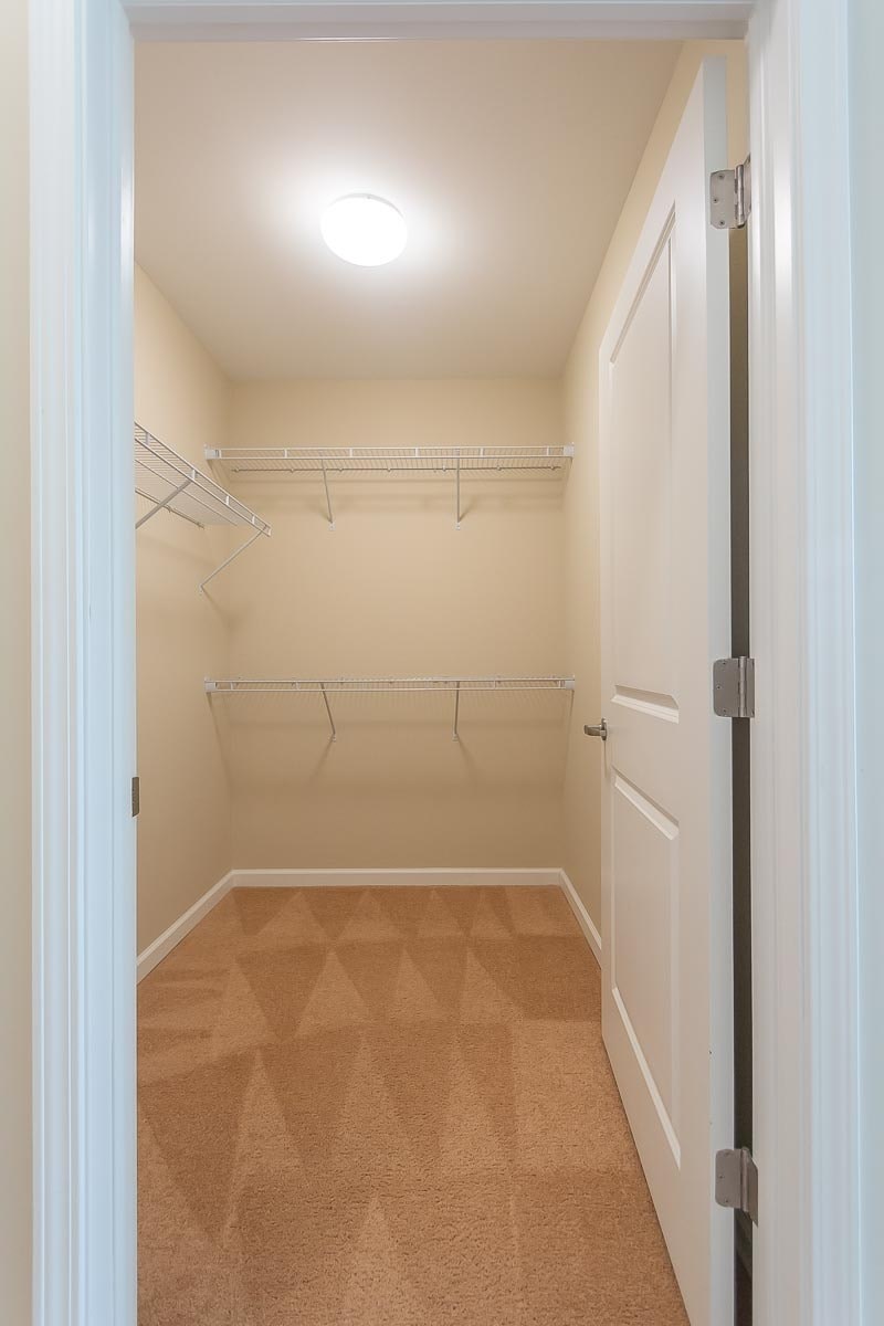 A white closet with a carpeted floor and a light on the ceiling.