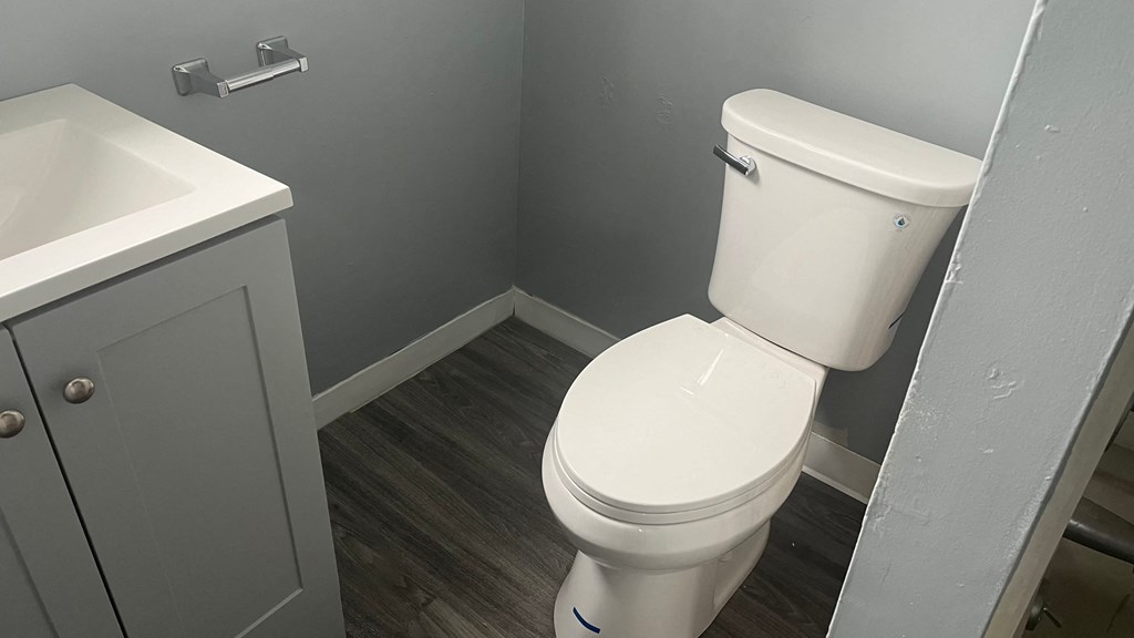 a bathroom with a toilet and a sink