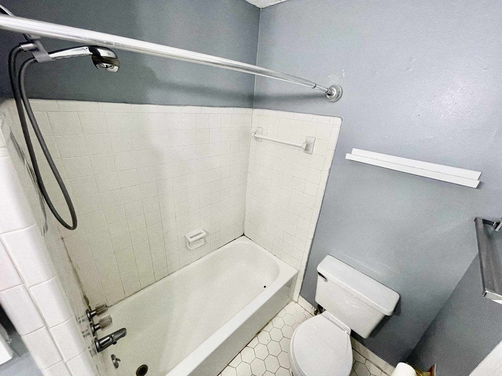 a bathroom with a shower toilet and a sink