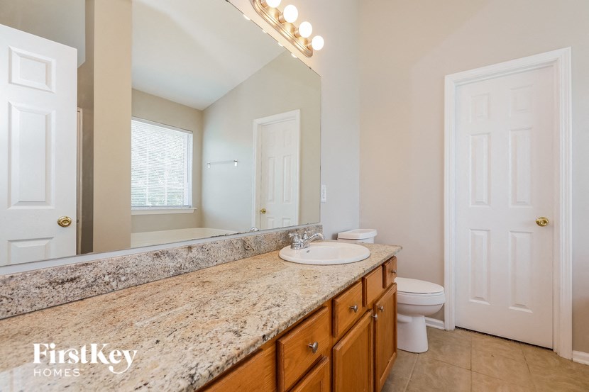 a bathroom with a sink and a toilet and a mirror