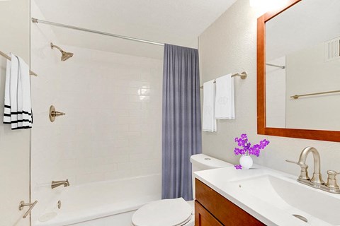 a bathroom with a shower and a sink and a toilet