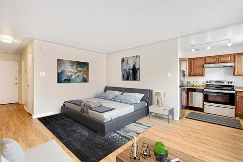 a bedroom with a bed and a kitchen with a sink