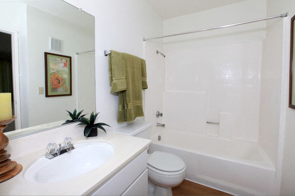 a bathroom with a tub sink and toilet and a mirror