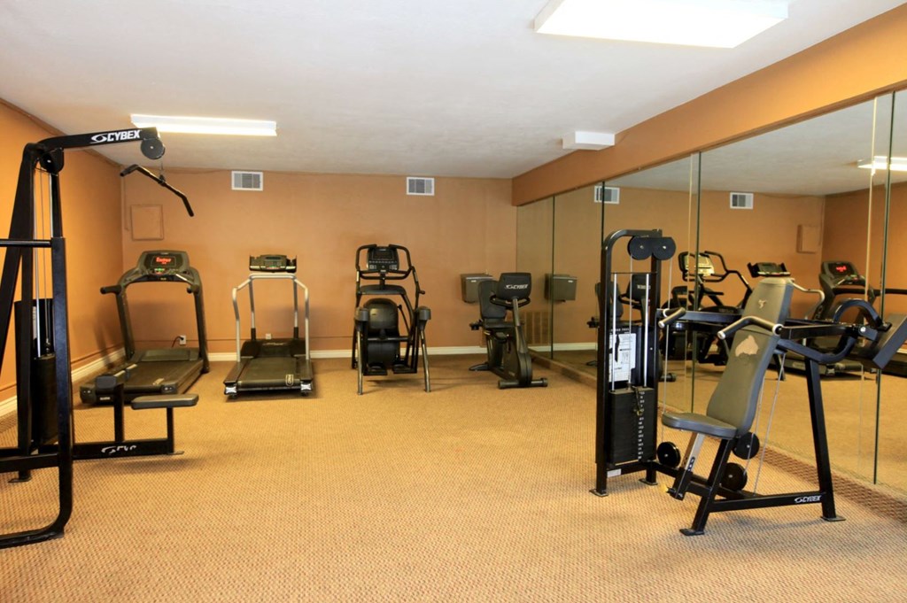 a gym with cardio equipment and mirrors in a home gym
