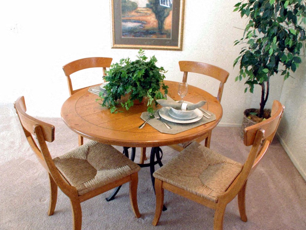 a dining room table with chairs and a potted plant