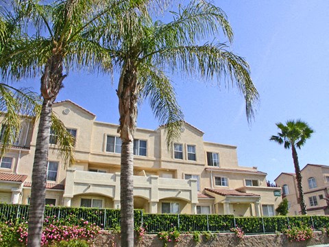A row of palm trees in front of a building.