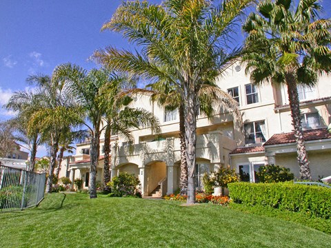 A large white building with a green lawn in front.