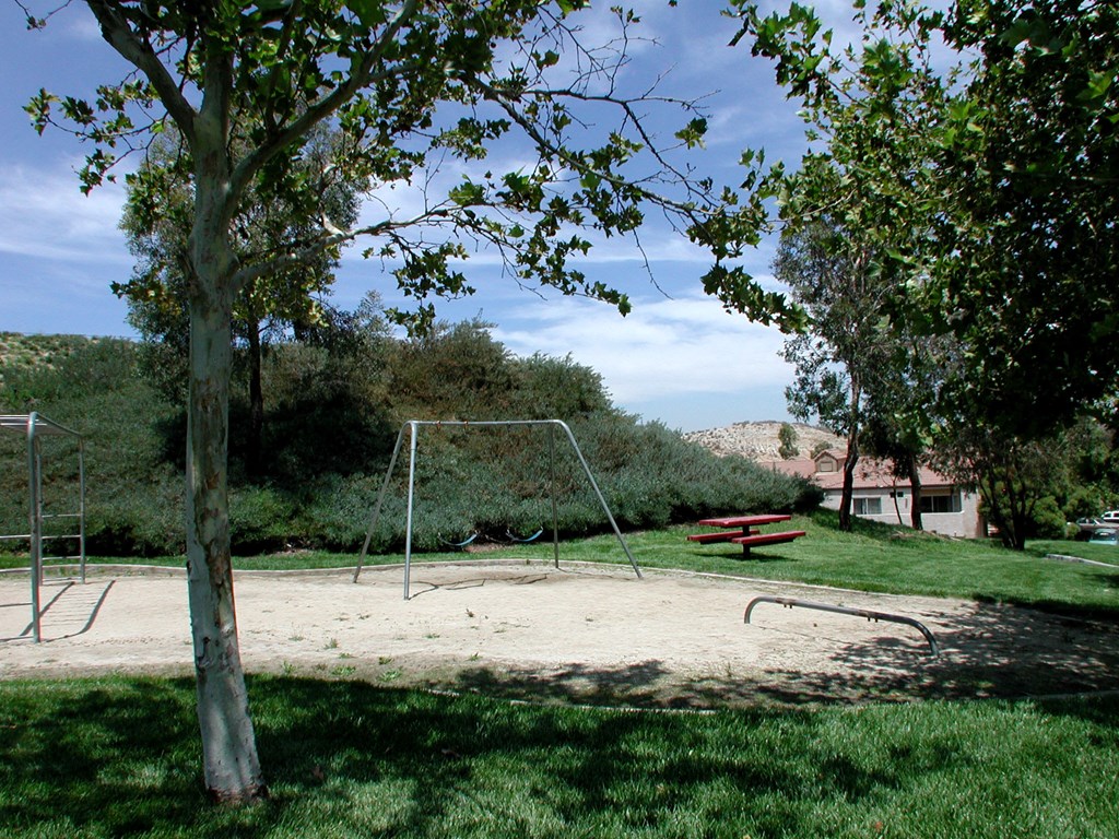 a playground in a park with a picnic table