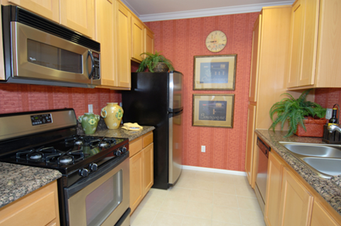 A kitchen with a black refrigerator and a black stove top oven.