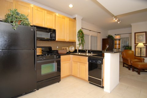 a kitchen with black appliances and a black refrigerator