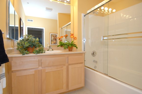 a bathroom with a sink and a shower