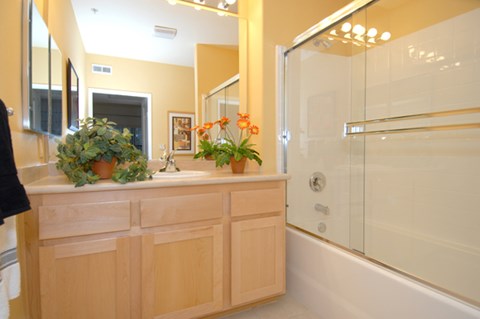 a bathroom with a sink and a shower