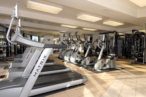 a row of treadmills and other exercise equipment in a gym