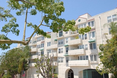 the building where the apartment is located