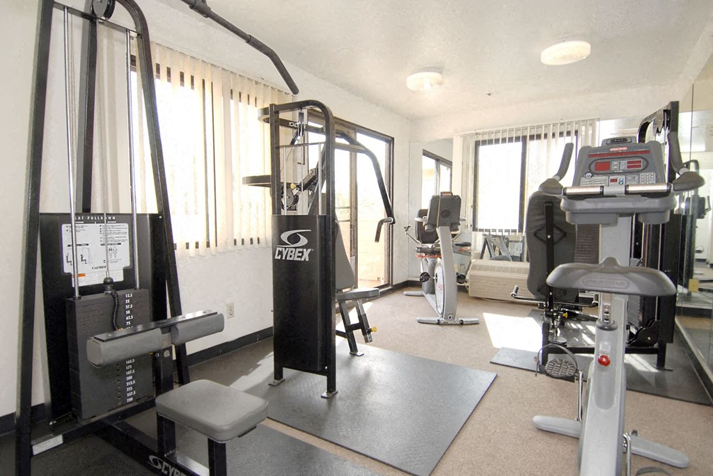 a gym with weights and other equipment in a room with windows