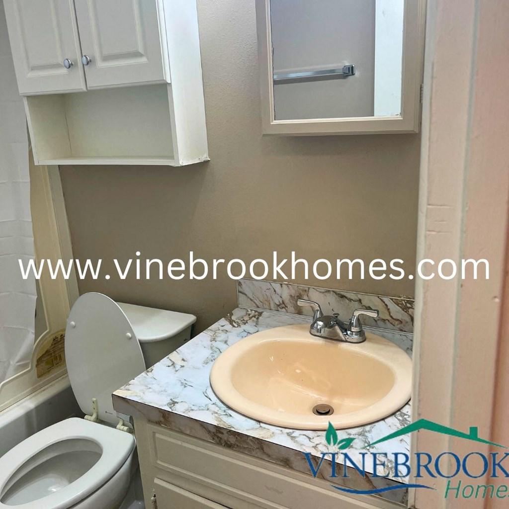 a bathroom with a sink and a toilet and a cabinet