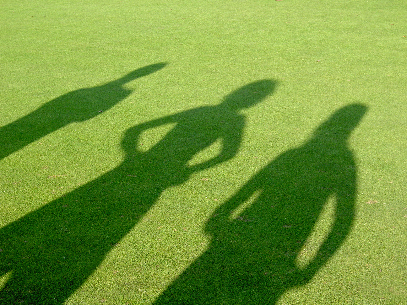 Springfield banner 1